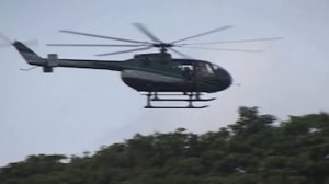 КАК ИНВАЗИВНЫЕ ВИДЫ ВЗРЫВАЮТ ЭКОСИСТЕМЫ