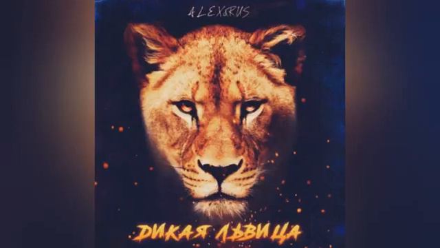Текст "дикая львица" смотреть онлайн