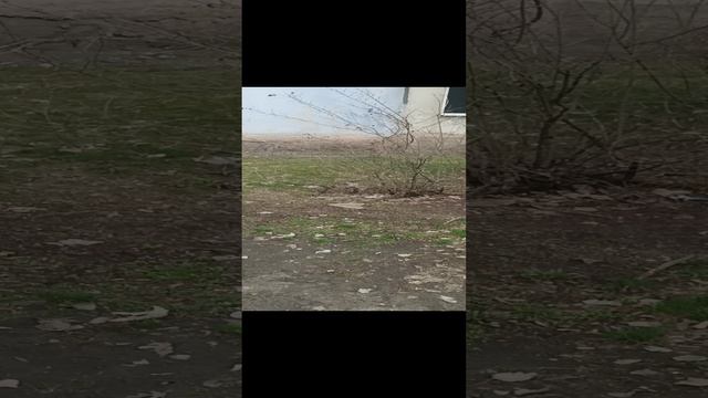 После обстрелов Луганска остались следы