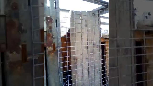 Пермские гривуны Ильдара смотреть онлайн