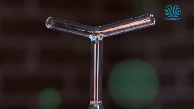 Процедура дарсонвализации – эффективность и особенности