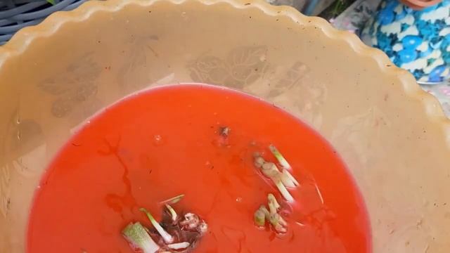 Каллы. Как и где нужно хранить клубни каллы