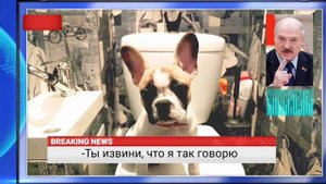 Как быстро научить французского бульдога командам
