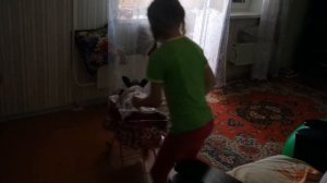 Цвергшнауцер полностью под властью своей любимицы