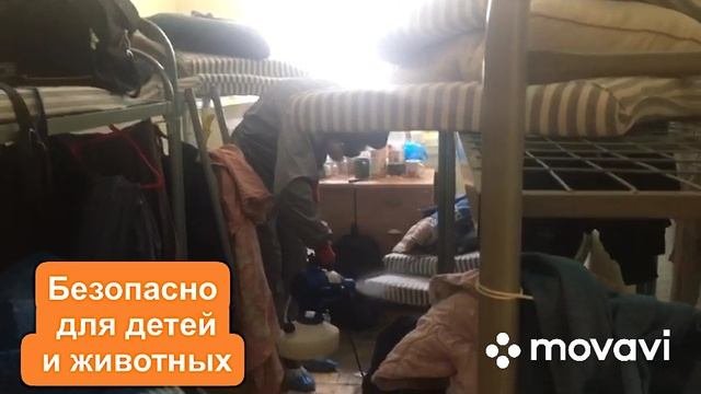 дезинфекция