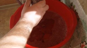 Реанимация саженцев