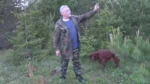 Супер тяга вальдшнепа весной. "Майская сказка". Часть 4