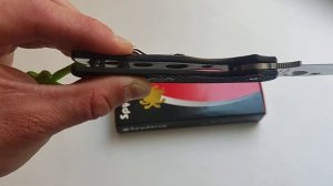 Spyderco Sage 5 s30v FRN handle.