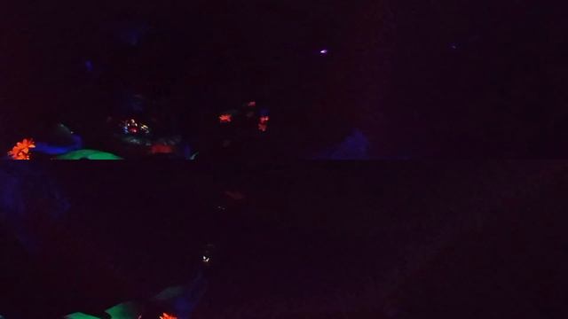 Peter Pan's Flight at Magic Kingdom смотреть онлайн