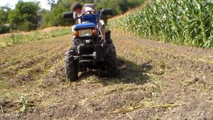 Подготовка картофеля к копке. Уборка сорняков и ботвы минитрактором