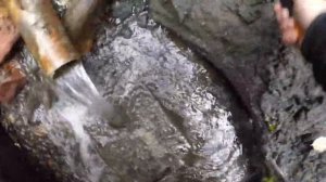 ГДЕ ИСКАТЬ БЕЛЕМНИТЫ WHERE TO FIND BELEMNITES