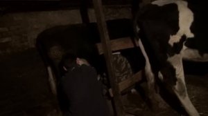 Простые истины. Украина. Серхио доит корову