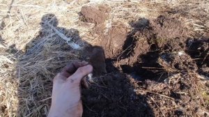 Первый коп с металлоискателем TX 850