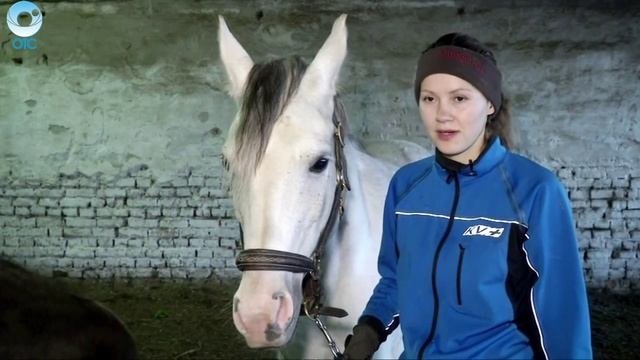 Рубрика 