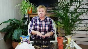 Хвойные растения ? Как вырастить из семян? ? Мастер класс в прямой эфире