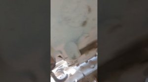 установка булавки сцепления