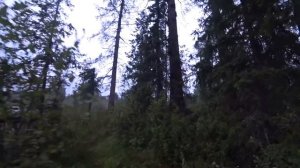 Промысел на соболя, рыбалка и охота 2018.  #3