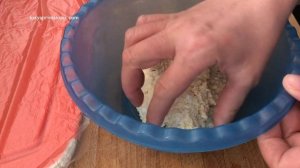 Заморозка полуфабрикатов на завтраки / Сырники кокосовые / Лимонные дольки