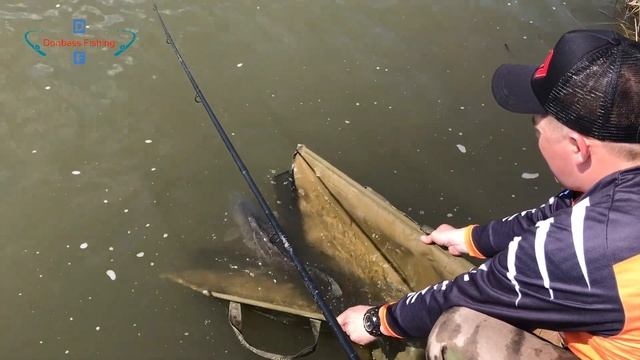 РЫБАЛКА на КАРПА в МАЕ. КАРПФИШИНГ Carpfishing в мае. Тренировка перед соревнованиями. смотреть онлайн