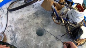 Безмотылка # 5 мормышка -Чертик