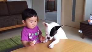 Собаки и дети, лучшие друзья | Часть 3 | Dogs and Baby, the best video