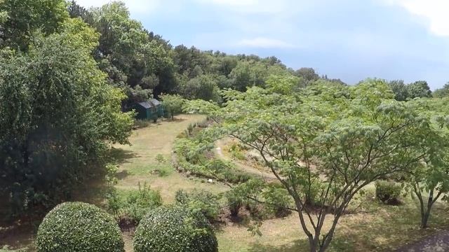 ?? Что ДУМАЕТ СИБИРЯЧКА о Крыме ? Массандровский дворец.Гос Дача.Крым 2018 смотреть онлайн