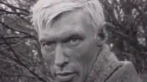 Почему надо всегда говорить правду