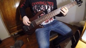 Slayer- Angel of Death Bass Cover
