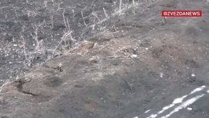 Кадры взятия опорника боевиков под Артемовском В ходе одного из боев у Артемовска штурмовые группы