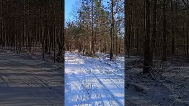 "Белый танец" поет песню Людмила Сенчина