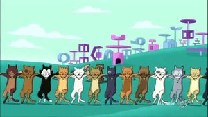 Кошачий канкан/Cat's can-can