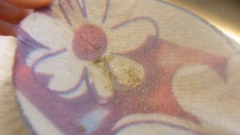 New England Clam Chowder with fresh clams