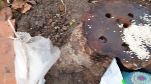 Пень не разрушается? Селитра не помогла? Исправляем ошибки!