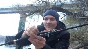 На рыбалку центр Тирасполь, река Днестр. Deaf