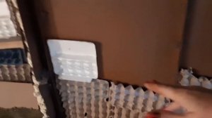 Временная голубятня в гараже своими руками