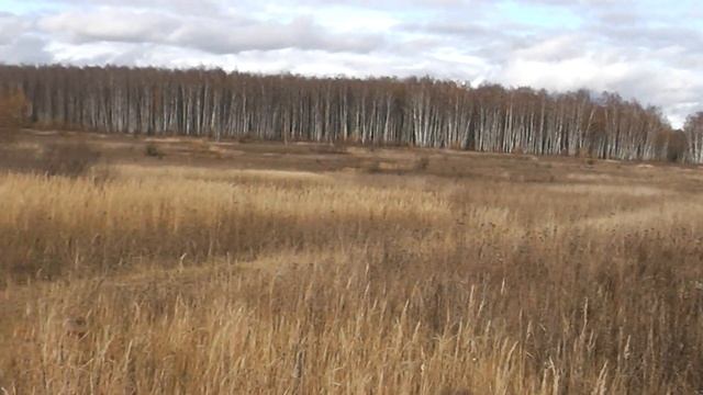Копаю чермет.коп металлоискателем