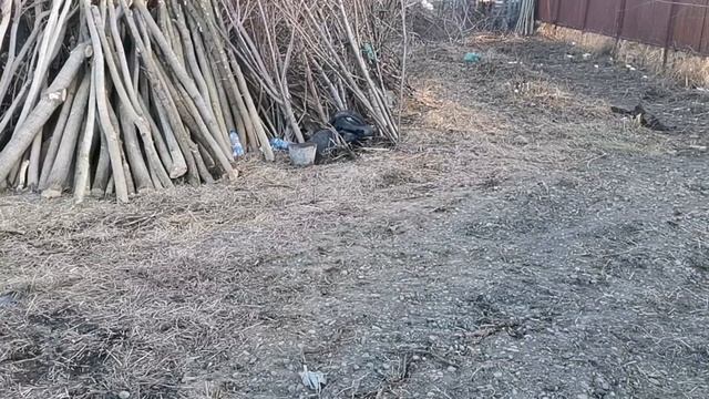 Запашка и корчевка участка, перед морозами! смотреть онлайн