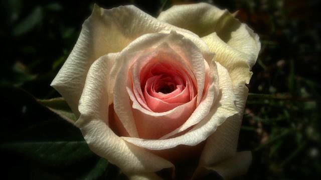 Лучшие русские новинки в твоих наушниках онлайн смотреть онлайн