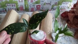 ?Последняя в этом году посылка/Распаковка?