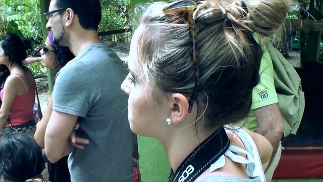 Be Live Grand Bavaro Punta Cana Trip 2012 смотреть онлайн