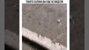 Такого вы ещё не видели