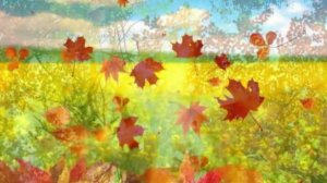 ВЫ КАК ТЕРПКОЕ ВИНО