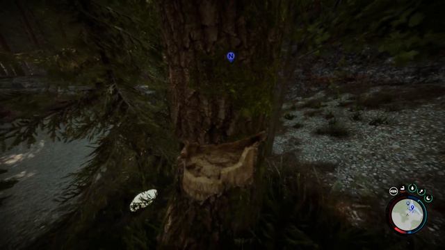 Sons of The Forest's Worst Players смотреть онлайн