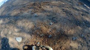 Поиск с металлоискателем на пляже. КОП 2023