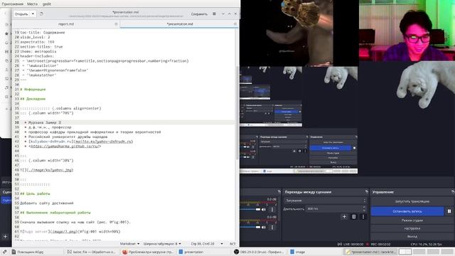 3 этап. Оформление презентации. смотреть онлайн