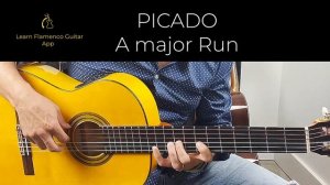 PICADO SCALES- FLAMENCO GUITAR