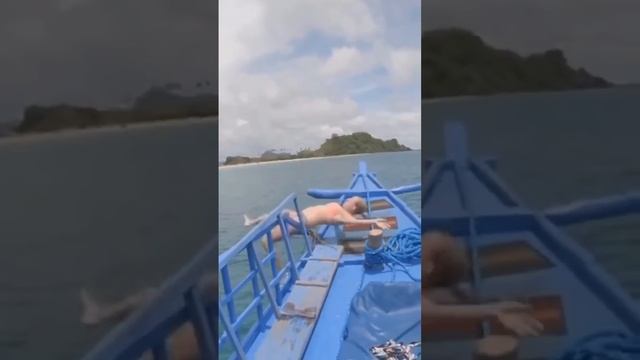 смешно и больно. юмор в Телеграмме в описании