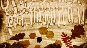 Андрей Усачёв «Как ежик нашел дорогу домой»