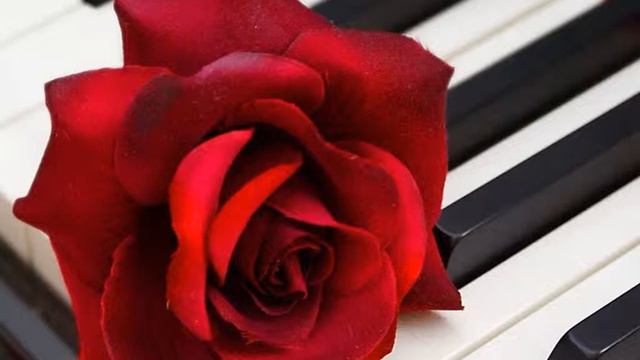 SON PEER-7 смотреть онлайн