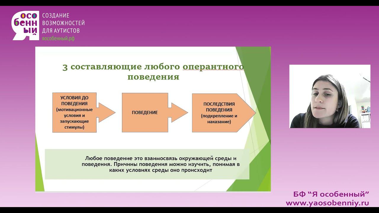 Программа нежелательного поведения